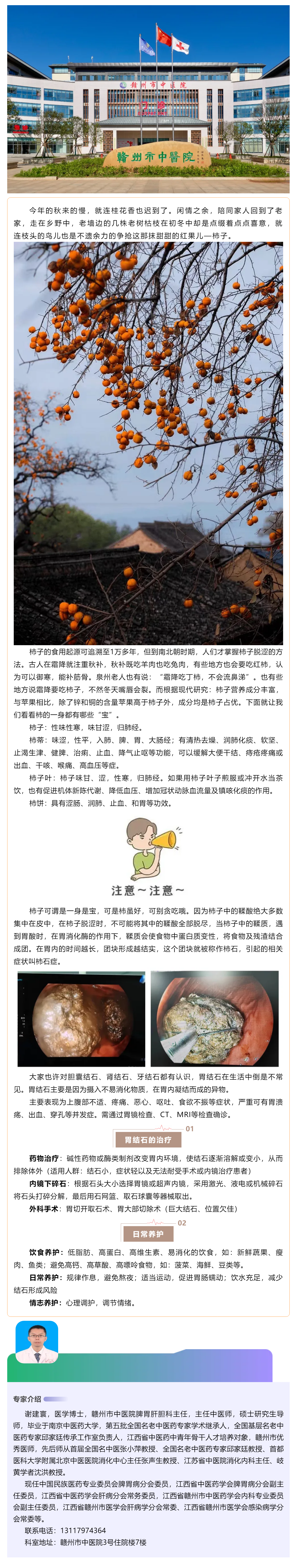 【科普】多“柿”之秋，愛吃柿子的你，小心胃石癥.png